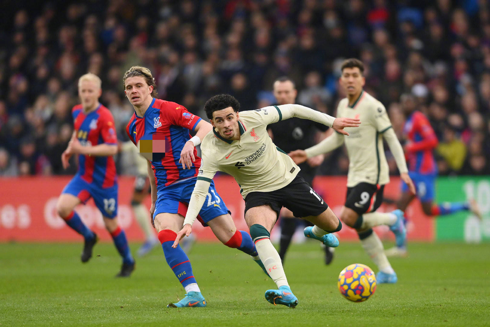 养出的两位 养出的两位